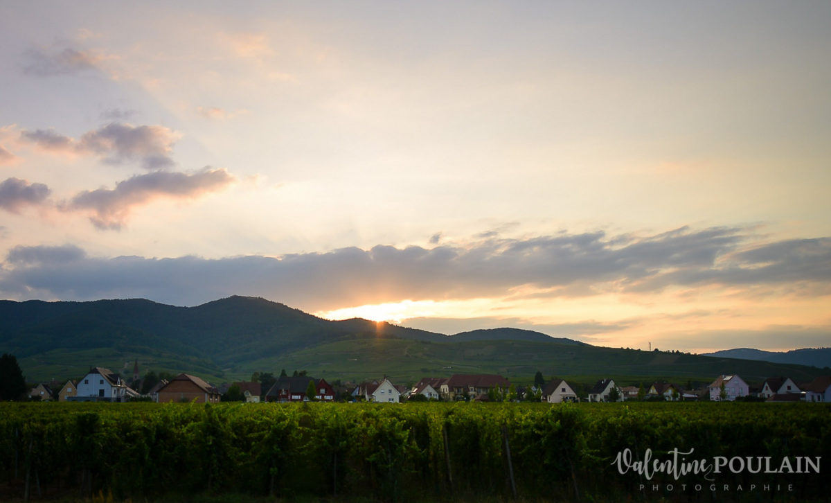 Mariage viticole Petit Wettolsheim - Valentine Poulain coucher soleil
