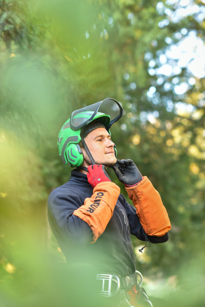 Article portrait métier élagueur