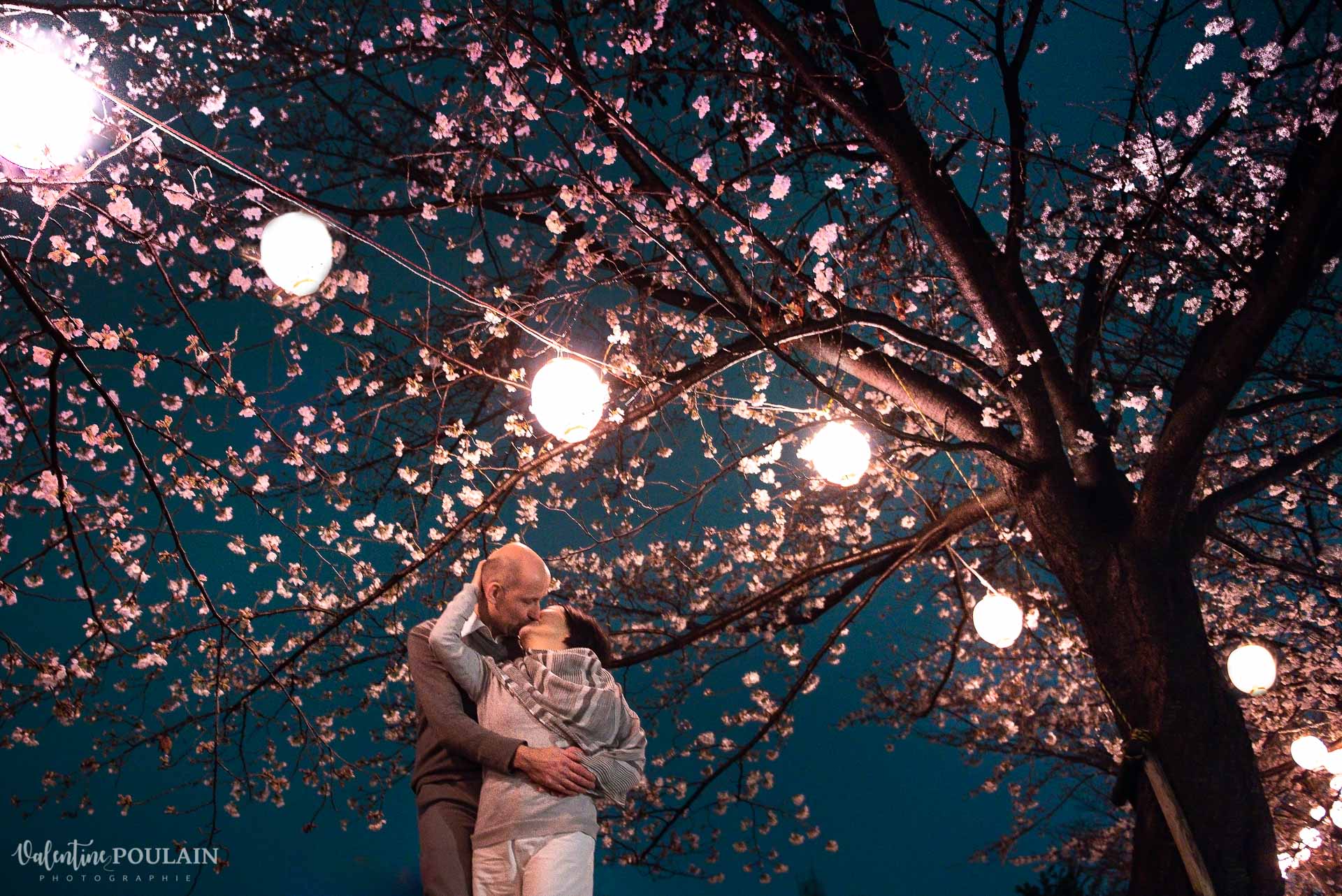 cerisier Kyoto - Valentine Poulain