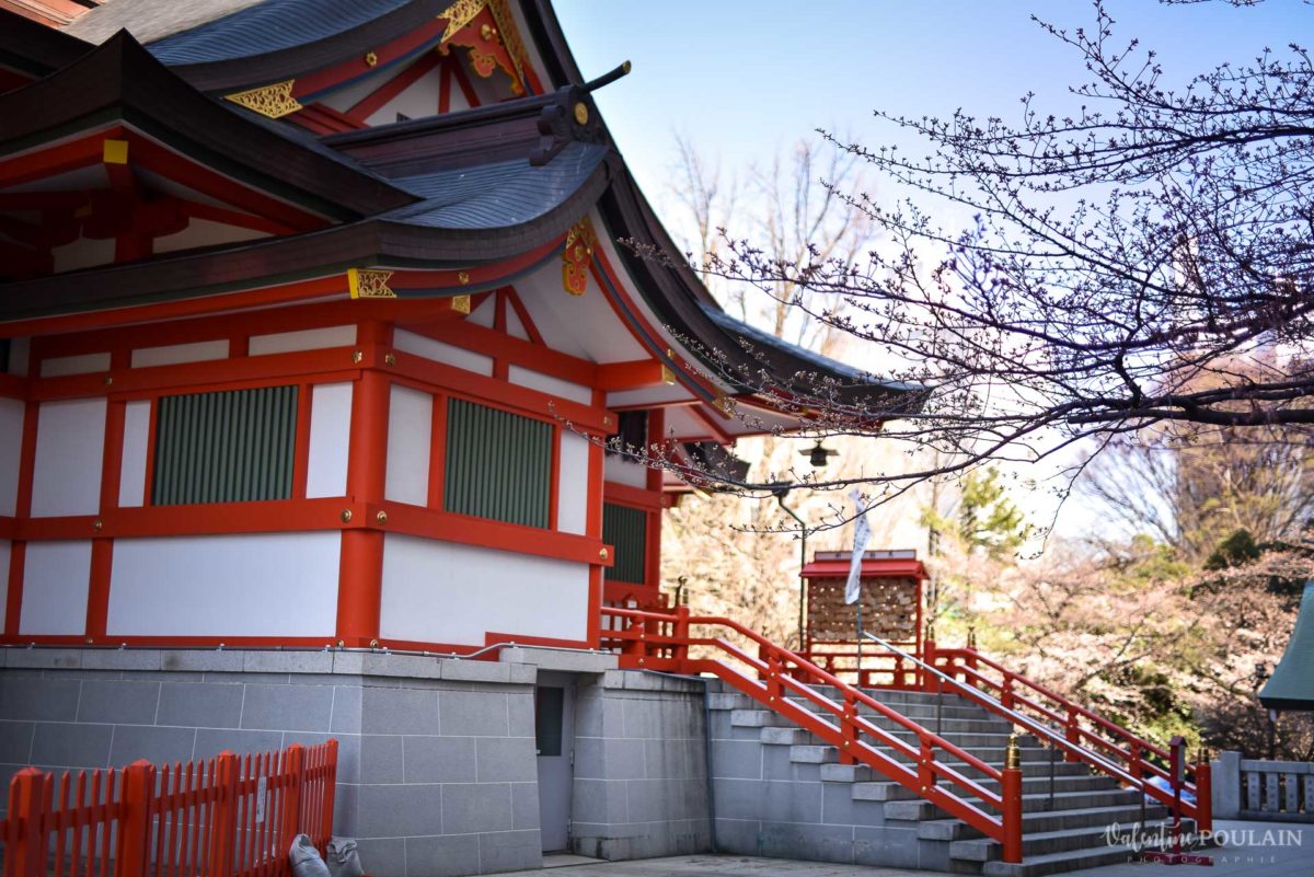 Shooting couple Japon Tokyo - Valentine Poulain vue temple