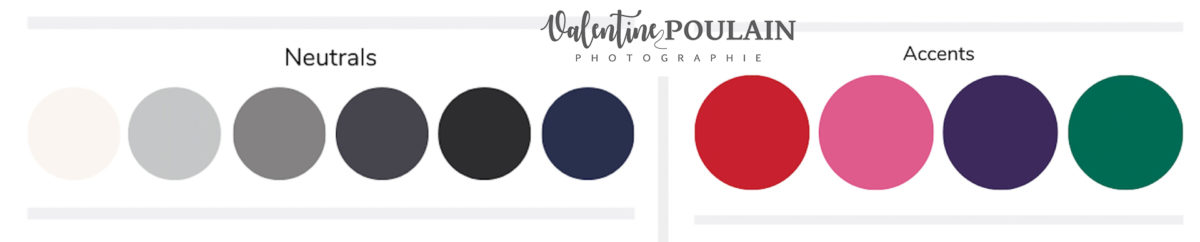 Palette couleurs hiver - Valentine Poulain
