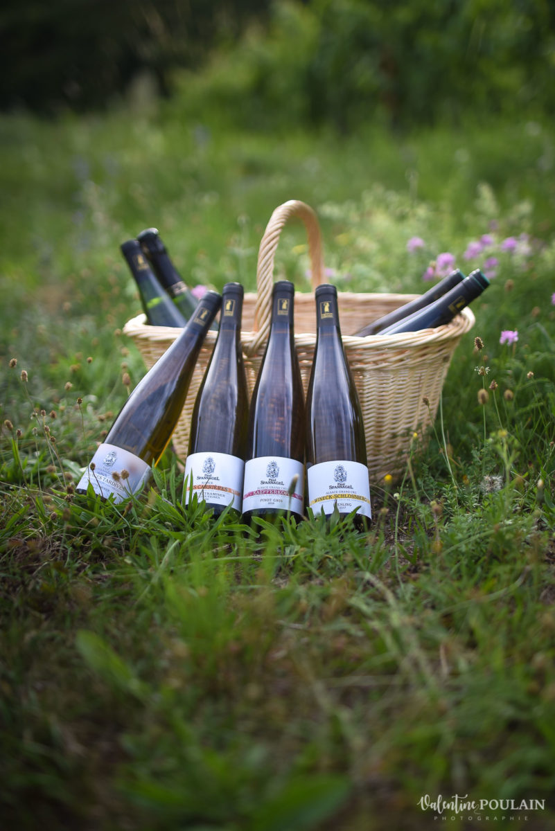 photo vigneron bouteilles panier - Valentine Poulain